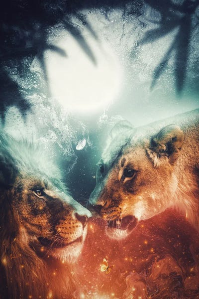 GEN Z: Couple Of Lion In The Jungle Passion by GEN Z
