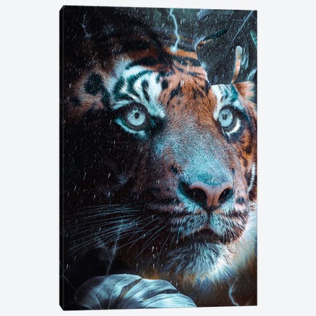 Blue-Eyed Tiger In The Rain Jungle Canvas Print #GEZ433} by GEN Z Canvas Art Print