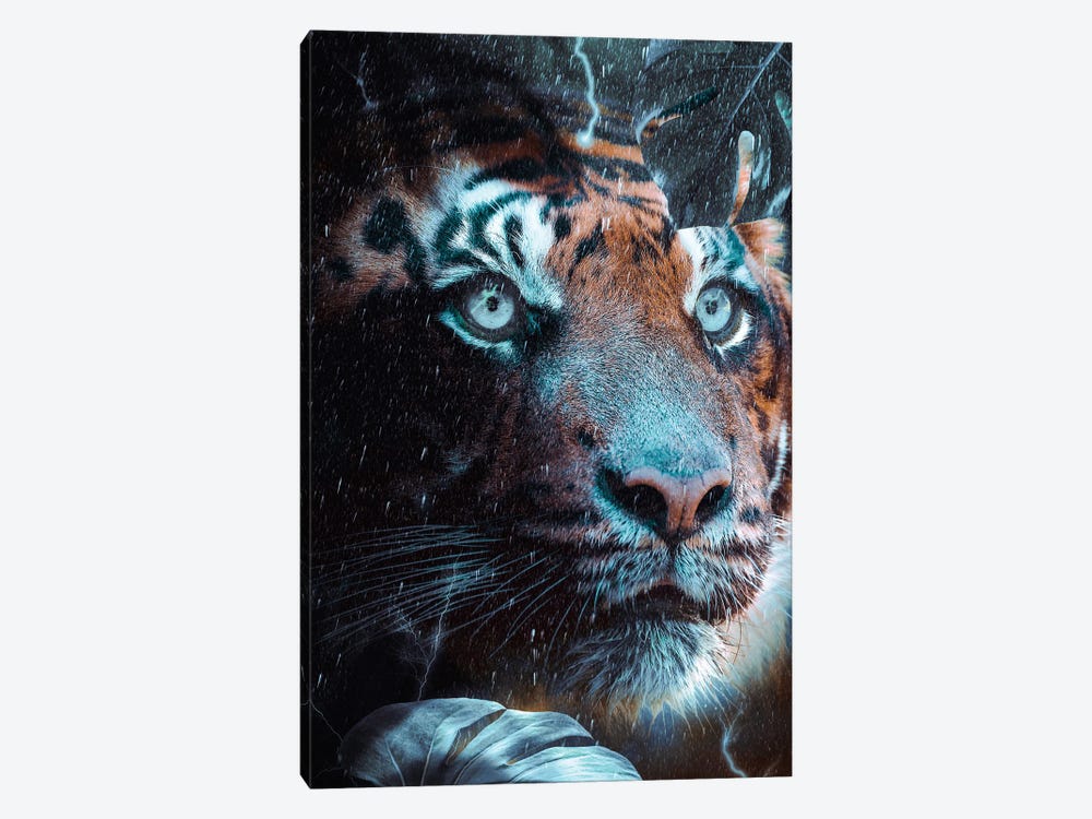 Blue-Eyed Tiger In The Rain Jungle by GEN Z 1-piece Canvas Wall Art