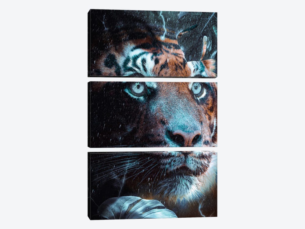 Blue-Eyed Tiger In The Rain Jungle by GEN Z 3-piece Canvas Wall Art