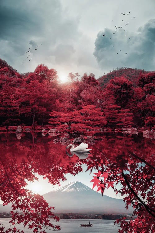 Japan Mount Fuji And Beautiful White Swan