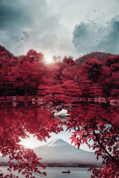 Mt.Fuji: Japan Mount Fuji And Beautiful White Swan by GEN Z