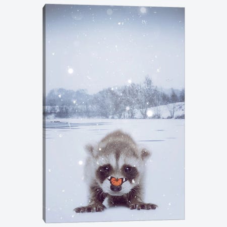 Baby Raccoon And Orange Butterfly Under Snow Canvas Print #GEZ43} by GEN Z Canvas Art Print