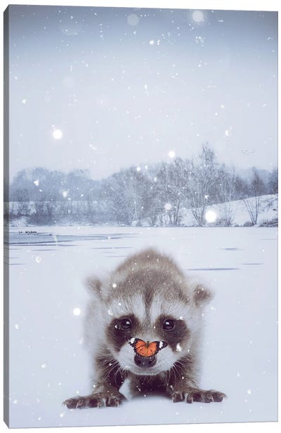 Baby Raccoon And Orange Butterfly Under Snow Canvas Art Print - Raccoon Art