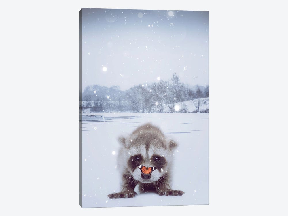 Baby Raccoon And Orange Butterfly Under Snow by GEN Z 1-piece Canvas Print
