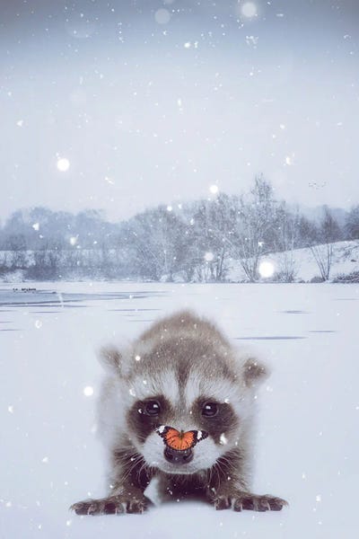Raccoons: Baby Raccoon And Orange Butterfly Under Snow by GEN Z