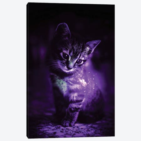 Purple Cat And Magical Butterfly Canvas Print #GEZ444} by GEN Z Canvas Art Print
