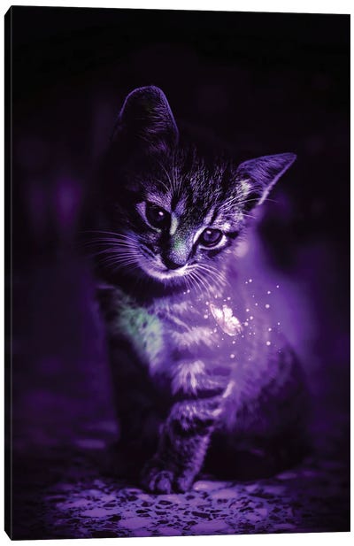 Purple Cat And Magical Butterfly Canvas Art Print