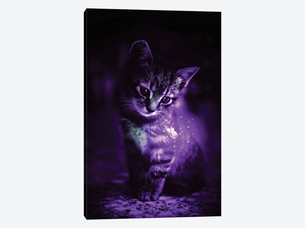 Purple Cat And Magical Butterfly by GEN Z 1-piece Canvas Art
