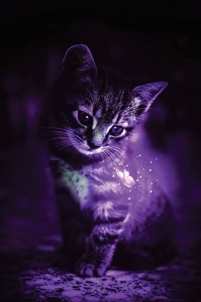 Blue: Purple Cat And Magical Butterfly by GEN Z