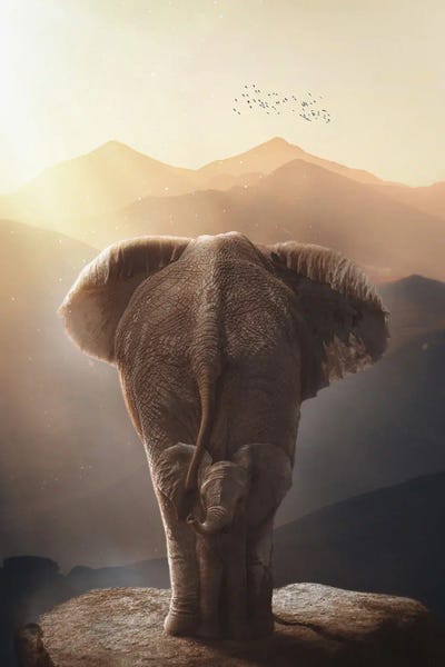 Baby Elephant And Mother In African's Mountains by GEN Z framed canvas print