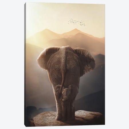 Baby Elephant And Mother In African's Mountains Canvas Print #GEZ445} by GEN Z Canvas Art Print