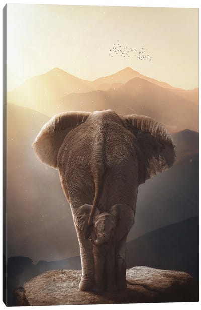 Baby Elephant And Mother In African's Mountains Canvas Art Print - GEN Z