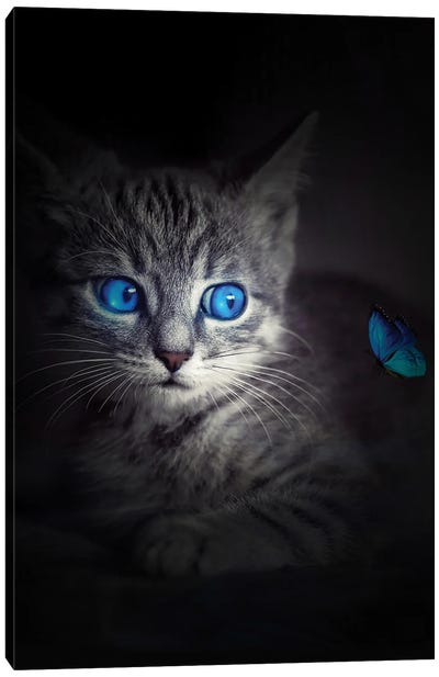 Kitten Blue Eyes And Blue Butterfly Canvas Art Print - GEN Z