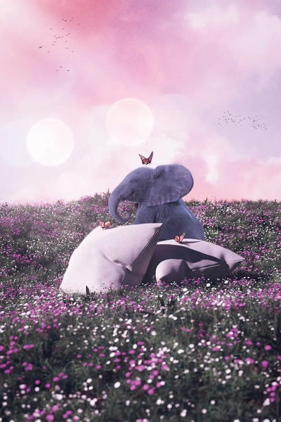 Baby Elephant, Butterflies And Pillows In The Flowers