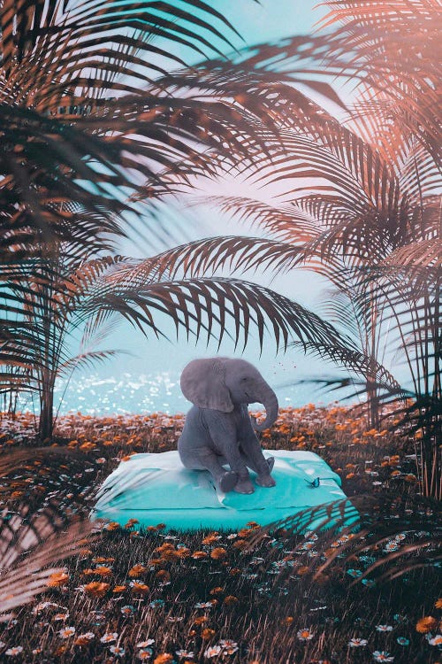 Cute Little Baby Elephant On A Pillow Behind Beach by GEN Z wall art