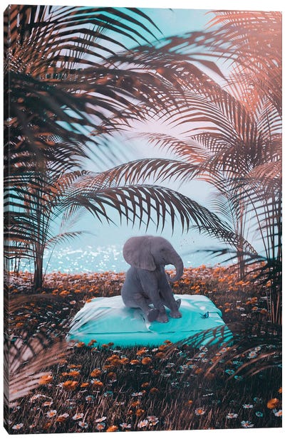 Cute Little Baby Elephant On A Pillow Behind Beach Canvas Art Print - GEN Z