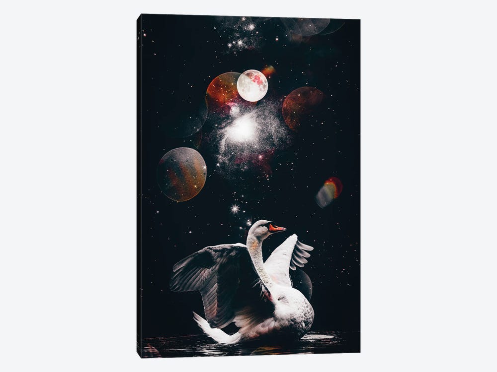 White Swan Black Star Night by GEN Z 1-piece Art Print