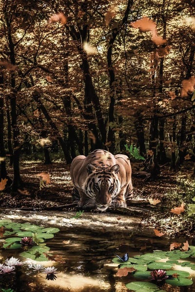 Beauty Looking At Each Other, Tiger And Butterfly by GEN Z canvas print