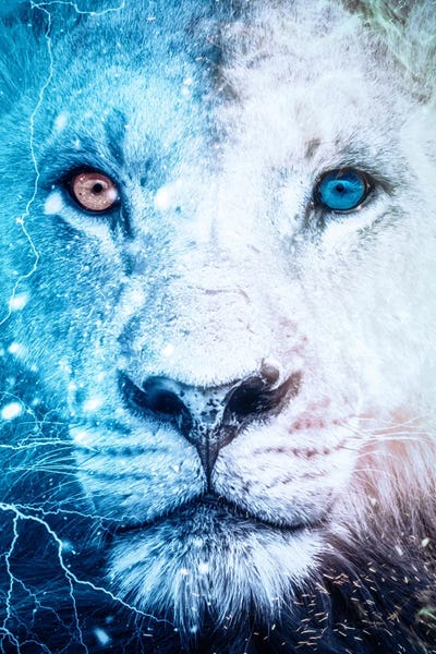 White Lion Blue And Orange Eyes by GEN Z framed canvas print