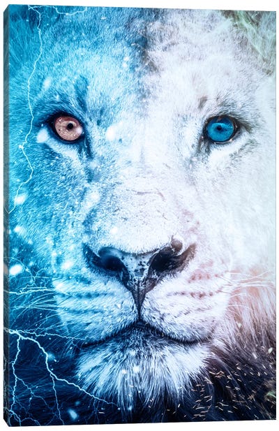 White Lion Blue And Orange Eyes Canvas Art Print - GEN Z