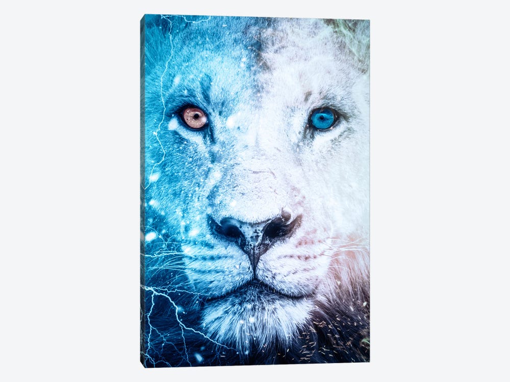 White Lion Blue And Orange Eyes by GEN Z 1-piece Canvas Art Print
