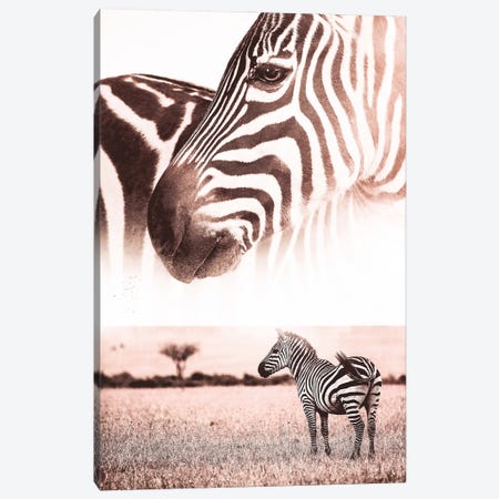African Wild Zebra In Savannah Canvas Print #GEZ465} by GEN Z Canvas Print