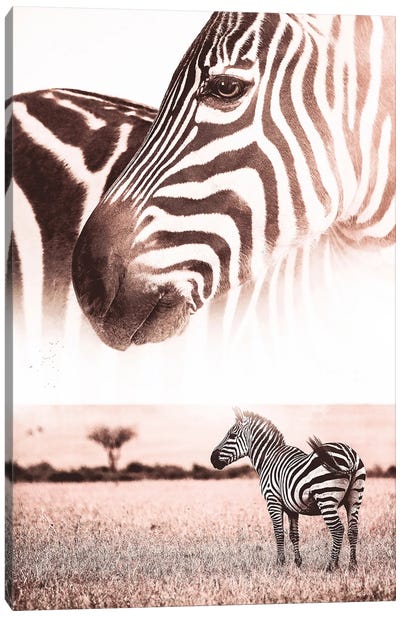 African Wild Zebra In Savannah Canvas Art Print - GEN Z