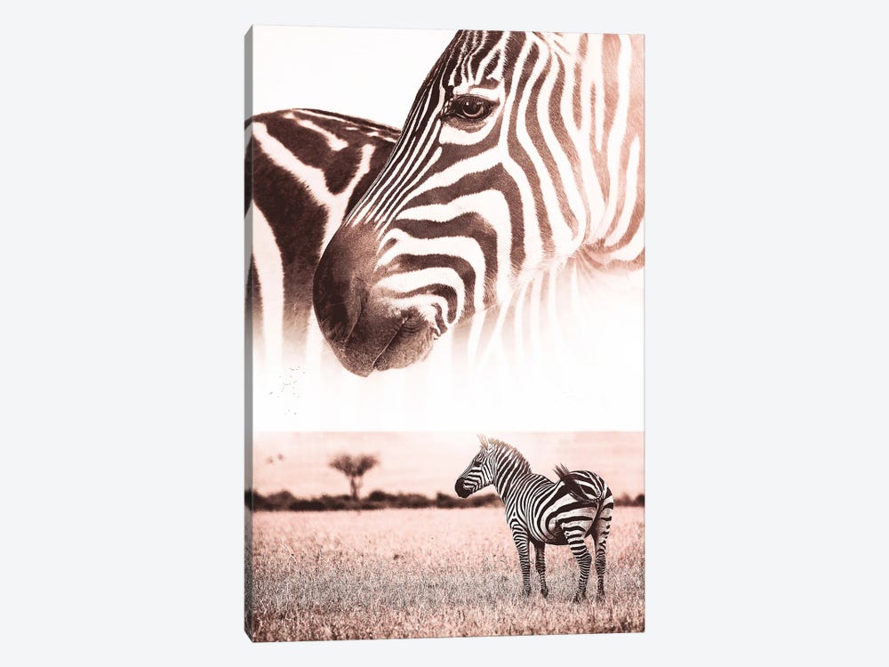 African Wild Zebra In Savannah by GEN Z 1-piece Canvas Print