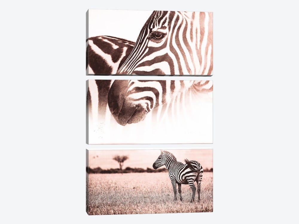 African Wild Zebra In Savannah by GEN Z 3-piece Canvas Art Print
