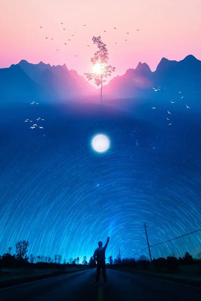 Freedom Tree In The Night Star Trail by GEN Z framed canvas print