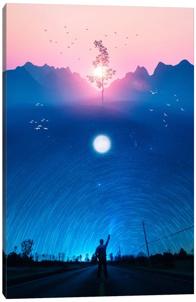 Freedom Tree In The Night Star Trail Canvas Art Print - GEN Z