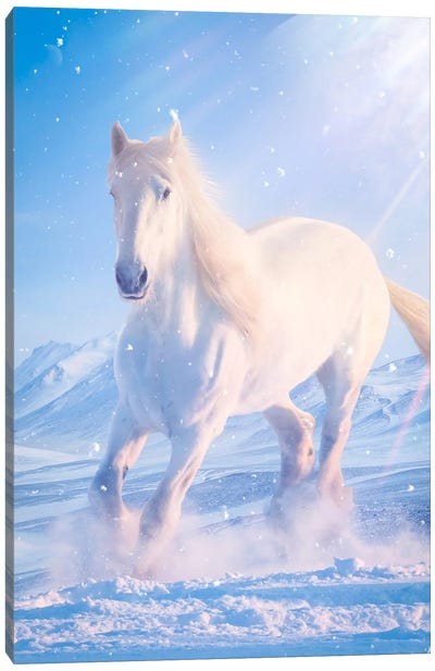 White Horse Galloping In Snow Canvas Art Print - Snow Art