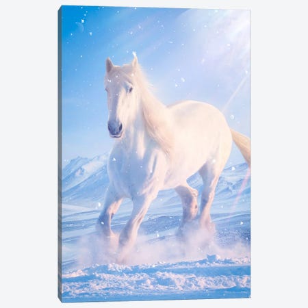 White Horse Galloping In Snow Canvas Print #GEZ467} by GEN Z Art Print