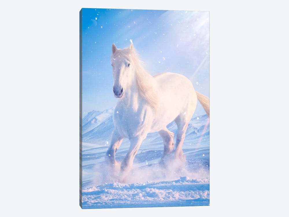 White Horse Galloping In Snow by GEN Z 1-piece Canvas Print