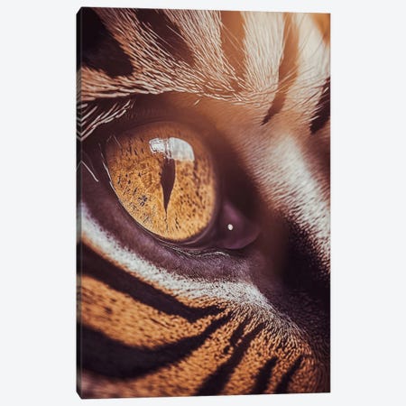 Golden Eye Of The Tiger Wild Canvas Print #GEZ470} by GEN Z Canvas Print