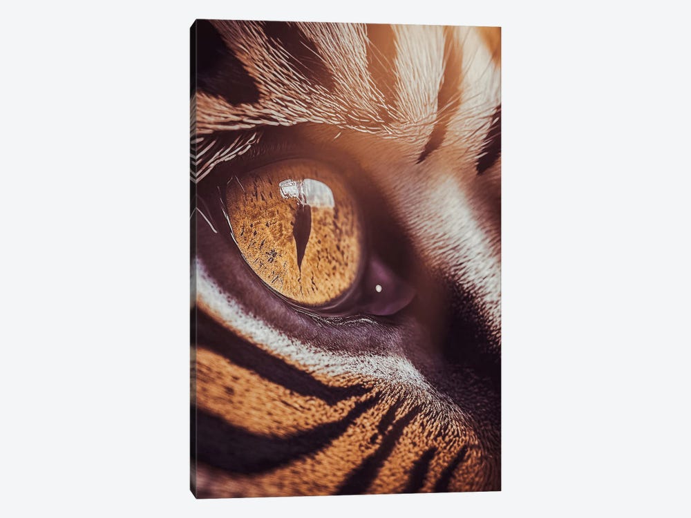 Golden Eye Of The Tiger Wild by GEN Z 1-piece Art Print