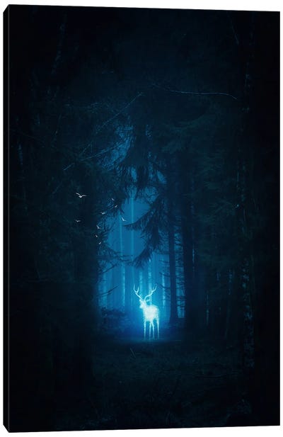 Magical Blue Deer Patronus In The Forest Canvas Art Print - Harry Potter (Film Series)