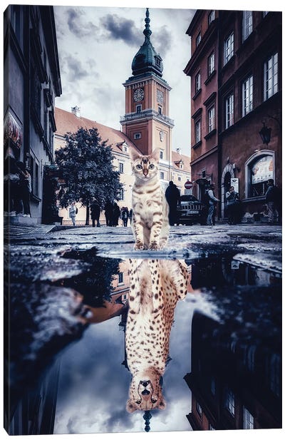 Bengal Guepard Puddle Reflection In City Canvas Art Print - Cheetah Art