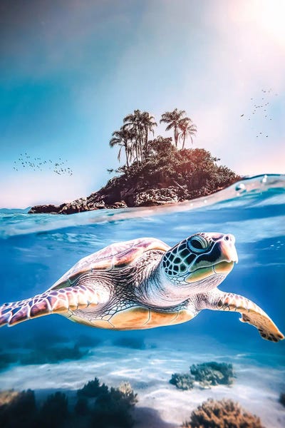 Sea Turtle And Paradise Island by GEN Z framed wall art