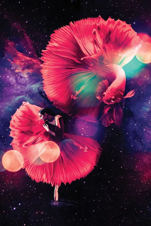 Dancer And Red Betta Fish Ballet