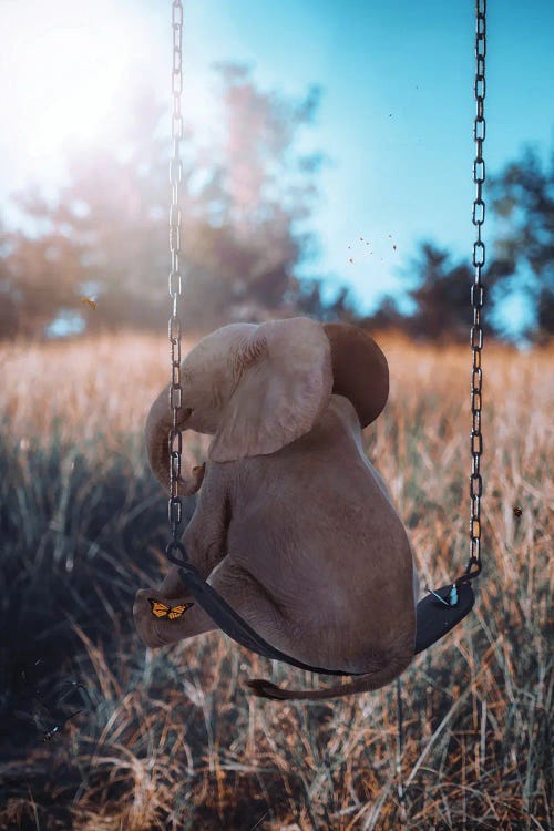 Baby Elephant On Swing Garden by GEN Z wall art