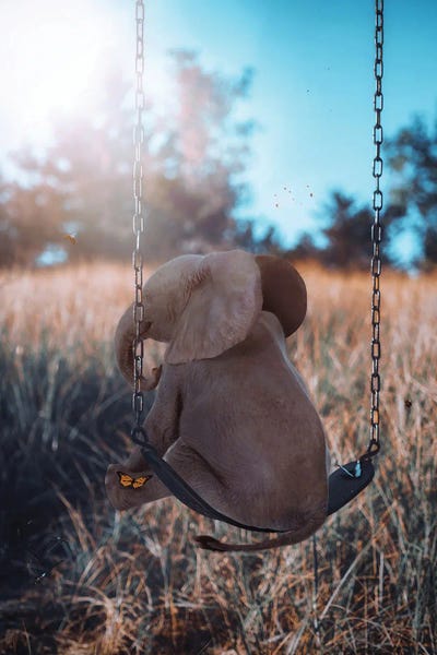Elephants: Baby Elephant On Swing Garden by GEN Z