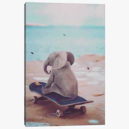 Baby Elephant On Skateboard Canvas Print #GEZ4} by GEN Z Canvas Print