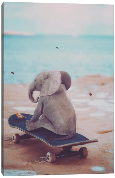 Baby Elephant On Skateboard Canvas Art Print - GEN Z