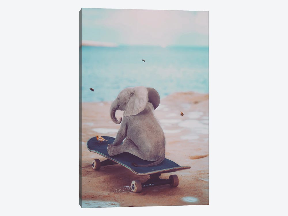 Baby Elephant On Skateboard by GEN Z 1-piece Canvas Print