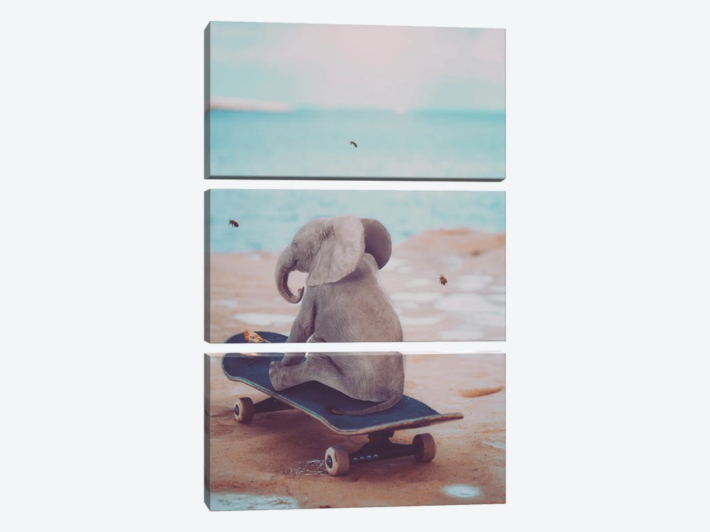 Baby Elephant On Skateboard by GEN Z 3-piece Canvas Art Print