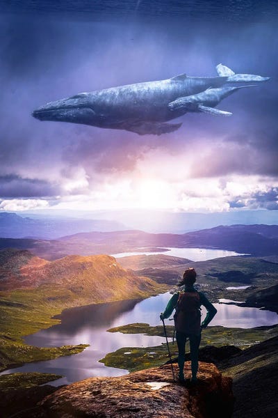 Humpback Whales: Encounter With A Flying Whale In Sky Ocean by GEN Z