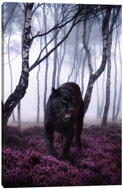 Big Black Cat Panther In Forest With Robin Bird Canvas Art Print - Panther Art