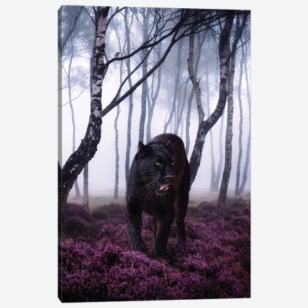Big Black Cat Panther In Forest With Robin Bird Canvas Print #GEZ50} by GEN Z Canvas Wall Art